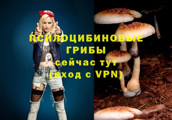гашиш Алексин