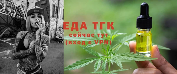 хмурый Абаза