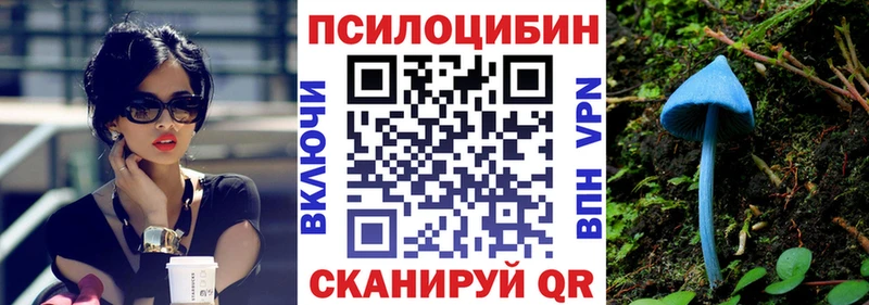 KRAKEN зеркало  Искитим  Галлюциногенные грибы ЛСД 